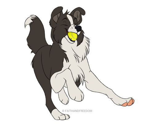 Dean by faithandfreedom on DeviantArt Zoo Ideas, Drawing Animals, In The Zoo, The Zoo, Border Collie, My Dog, Dean, Deviantart, Animals