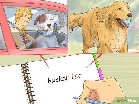 3 Ways to Make Your Dog's Final Days Special - wikiHow Dogs Last Day Ideas, Dog Last Day, Animal Behaviorist, Day List, Dog Bakery, Final Days, Let Her Go, Veterinary Medicine, University Of Wisconsin