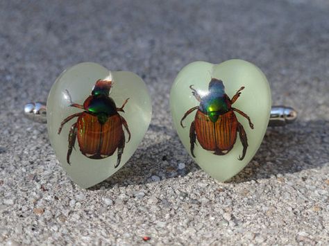 Glow in the Dark Japanese Beetle Cufflinks Japanese Beetle, Japanese Beetles, Groom Cufflinks, Cufflink Box, Funky Jewelry, Groom Style, Jewelry And Accessories, Tie Accessories, Gift List