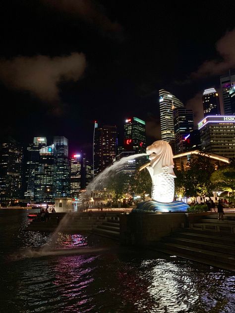 The Merlion, Singapore Singapore Lifestyle, Traveling Pics, Merlion Singapore, Singapore Photography, Singapore Photos, Crazy Rich, Billionaire Lifestyle, Travel Pictures, Southeast Asia