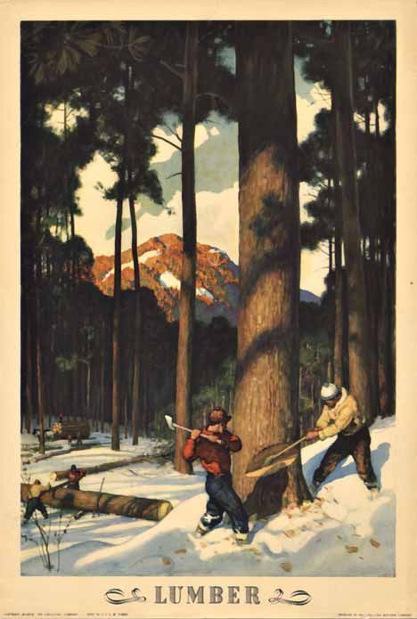 Camping Illustration, Coca Cola Poster, Nc Wyeth, Arte Peculiar, Record Covers, French Poster, Picture Frame Shop, California Art, Large Poster