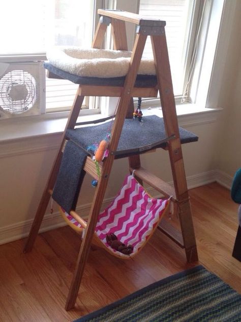 DIY Cat Tree From Old Ladder Diy Jouet Pour Chat, Katt Diy, Old Wooden Ladders, Diy Chat, Kat Haken, Chat Diy, Kat Diy, Cat Enclosures, Diy Cat Tree