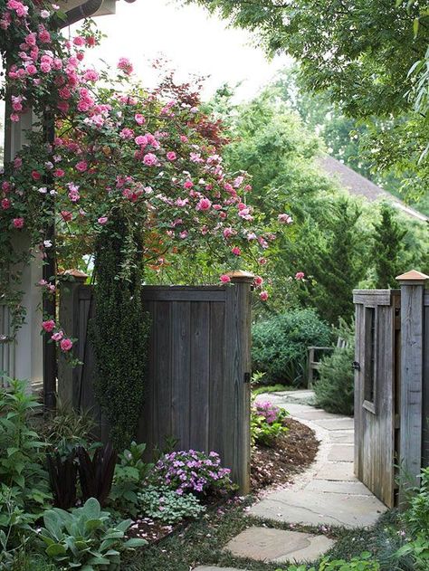 Flowers Growing, Have Inspiration, Climbing Roses, Side Yard, Homes And Gardens, Landscape Projects, Garden Gates, Dream Garden, Garden Paths