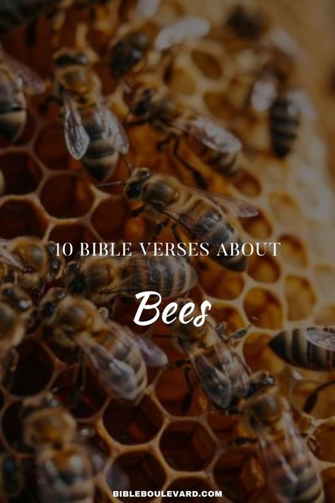 10 Bible Verses About Bees Bee Sayings, Best Bible Verses, Bible Says, Honey Bees, A Lion, The Bible, Verses, Bible Verses, Bee