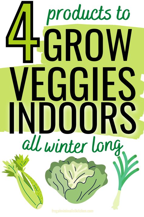 4 products to grow veggies indoors all winter long Growing Greens Indoors, How To Grow Green Onions Indoors, Indoor Produce Garden, Indoor Lettuce Garden, Apartment Farming, Growing Veggies Indoors, Hydroponic Gardening Indoor, Indoor Veggie Garden, Agricultural Anarchy