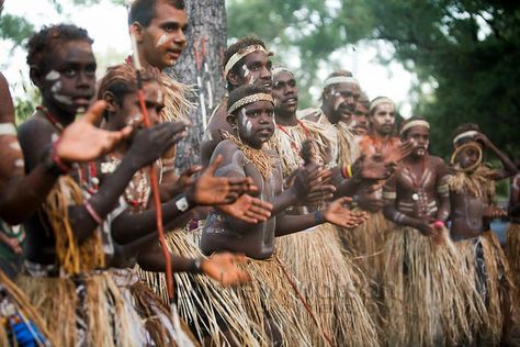 South Pacific Islands, Oldest Human, Aboriginal Culture, Out Of Africa, Indigenous Community, Dog Sledding, People Around The World, Great Artists, Queensland