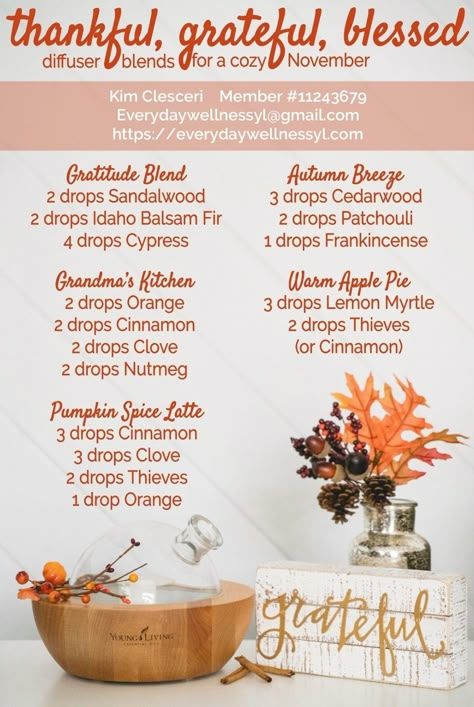 Thanksgiving Diffuser Blends Fall Essential Oils, Fall Diffuser Blends, Helichrysum Essential Oil, Diy Essential Oil Recipes, Essential Oil Diffuser Blends Recipes, Young Living Essential Oils Recipes, Essential Oils Diffuser, Essential Oil Diffuser Recipes, Oil Diffuser Recipes