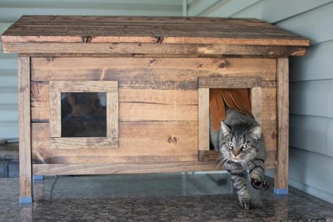 I built a house for our outdoor cat - Album on Imgur Cat Shelters For Winter, Outside Cat House, Cat House Plans, Outdoor Cat Shelter, Feral Cat Shelter, Feral Cat House, Cardboard Cat House, Wooden Cat House, Cat Houses Indoor