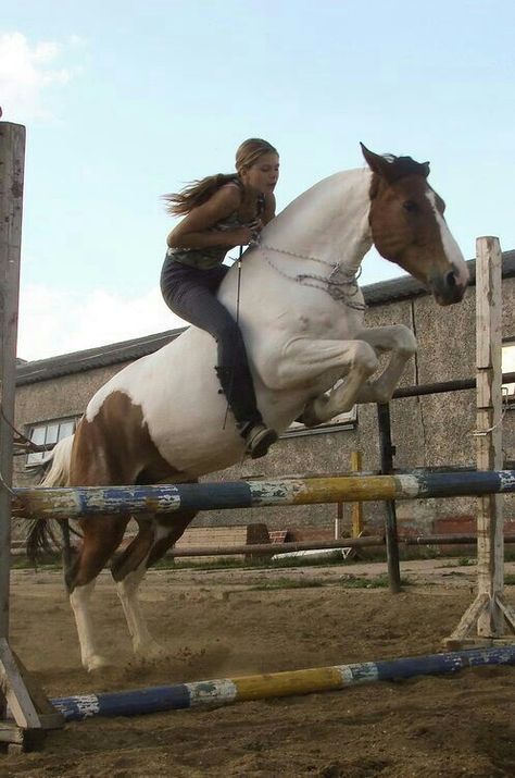 Bareback Riding, Horse Riding Aesthetic, Trick Riding, Riding A Horse, Teacher's Pet, Natural Horsemanship, Cowgirl And Horse, Paint Horse, Horseback Rider