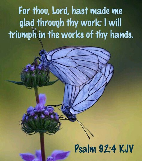 Psalm 92:4 KJV Moth Caterpillar, Flying Flowers, Beautiful Bugs, Butterfly Pictures, Butterfly Kisses, Purple Butterfly, Butterfly Garden, Butterfly Flowers, Colorful Butterflies