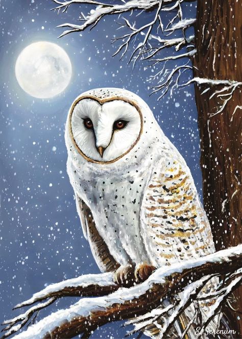 Winter Owl Art, Owl Spirit Animal Art, Winter Animal Art, Snowy Owl Art, Winter Owls, Owl Symbolism, Independent Thinking, Woodland Animal Art, Owl Art Print