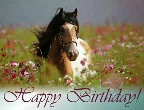 Happy Birthday Happy Birthday Horse Lover, Birthday Horse, Happy Birthday Animals, Tipperary Ireland, Horse Riding Equestrian, Irish Landscape, Western Horse Tack, Birthday Wish, Draft Horses