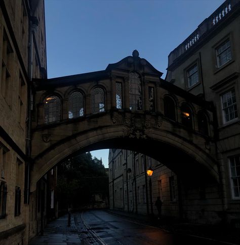 Dark University, Oxford Academia Aesthetic, School Dark Academia, Dark University Aesthetic, Oxford Vibes, Oxford Dark Academia Aesthetic, Dark Academia School Aesthetic, Oxford Dark Academia, Dark Academia University