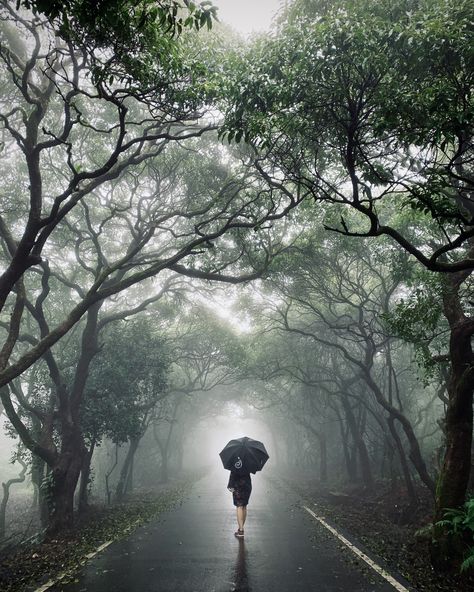 On a foggy day in Mahabaleshwar, one of the most visited hill stations! #Mahabaleshwar #Fog #HillStation Photo Ideas In Hill Station, Mahabaleshwar Aesthetic, Hill Photoshoot Ideas, Hill Station Aesthetic, Mahabaleshwar Photography, Hillstation Photography, Hill Station Photography Ideas, Mountain Pics, Mountain Photo Ideas