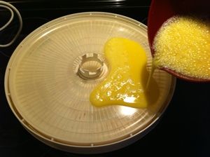 Dehydrated Eggs How To Make, Dehydrating Eggs, Dehydrating Food Storage, Egg Powder, Food Dehydration, Dehydrating Food, Best Camping Meals, Camping Hacks Food, Dehydrated Foods