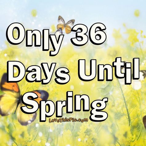 Only 36 Days Until Spring quotes spring spring quotes spring countdown spring images Spring Quotes, Spring Images, Spring Pictures, Facebook Image, Quotes