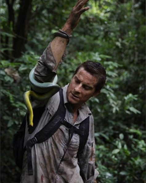 48.9k Likes, 329 Comments - Bear Grylls (@beargrylls) on Instagram: “This snake bit me before I caught it - jungle food ain't always pretty 🐍” Jungle Food, Man Vs Wild, Bear Grylls Survival, Jackie Chan Adventures, Forever Alone, Cholo Art, Bear Grylls, Tiger Shroff, Jackie Chan