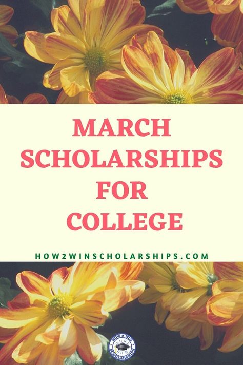 College Scholarships 2023, Scholarships For 2024, Scholarships For College 2023, January Scholarships, Best Scholarships To Apply For, Scholarships For College Sophomores, Scholarships For College 2023-2024, Scholarships For College 2024-2025, Nursing Scholarships