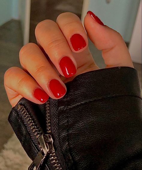 Classic Red Short Nails, Dip Powder Nails Classy, Red Nails Powder Dip, Short Round Red Nails, Red Nails Short Square, Cherry Red Nails Short, Red Biab Nails, Red Round Nails, Short Square Red Nails