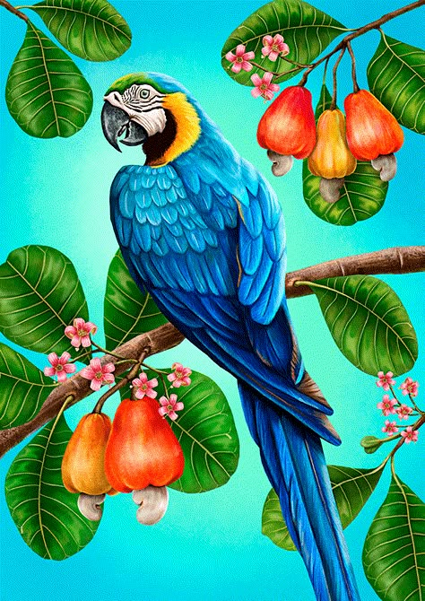 Digital painting by Grazi Barth - all rights reserved Parrot Painting, Butterfly Art Painting, Tropical Painting, Macaw Parrot, Bird Pictures, Tropical Birds, Illustration Digital, Bird Illustration, Butterfly Art