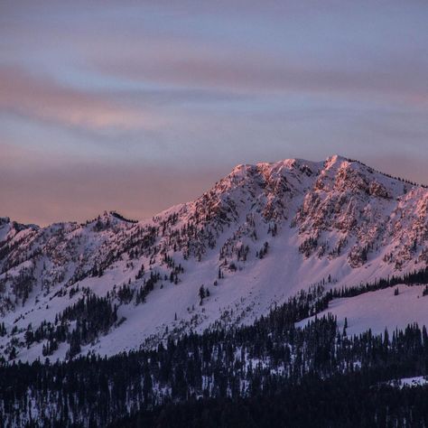 When those first early morning rays of sunshine hit the peaks it gives you an inspired feeling that good things are about to happen. 📸 Photo Credit: @greggalex #montana #montanamoment #bridgermountains #bozeman #onlyinbozeman #visitmontana #visitbozeman #exploremt #mountainphotography #sunrise #firstlight #bigskycountry #bozemanmontana #bozemanmt #onlyinmontana Montana Beautiful, Montana Scenery, Montana Views, Bridger Mountains Bozeman Montana, Visit Montana, Rays Of Sunshine, Emigrant Montana, Bozeman Mt, Bozeman Montana