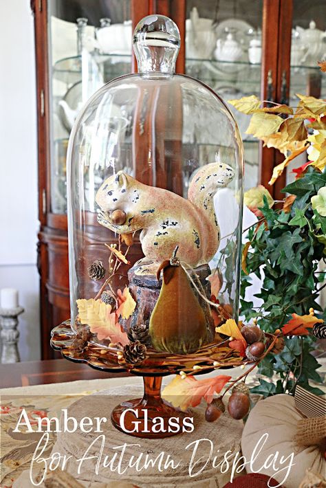 common ground : Amber Glass for Autumn Displays Cloche Display, Cloche Decor, Cake Pedestal, Fall Vignettes, Thanksgiving Wishes, Lantern Ideas, Autumn Display, Vintage Thanksgiving, Amber Glass Jars