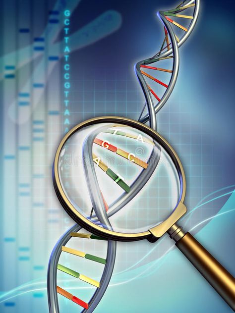 Dna analysis. Dna chain examined under a magnifying glass. Digital illustration , #Sponsored, #chain, #examined, #Dna, #analysis, #Digital #ad Dna Analysis, 23 And Me, Web Template Design, Biochemistry, Biotechnology, Magnifying Glass, Photo Stock, Digital Illustration, Stock Images Free