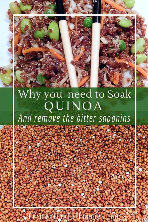 It is important to properly prepare grains in order to fully benefit. Quinoa has a coating of bitter-tasting saponins. Most commercial quinoa has the majority of the coating removed, however, it is still good practice to soak quinoa before cooking to improve nutrient absorption. Carbs In Vegetables, Sprouting Quinoa, Quinoa Seeds, Making Quinoa, Healthy Microbiome, Probiotic Foods, Healthy Breakfasts, Healthy Gluten Free Recipes, Quinoa Recipes