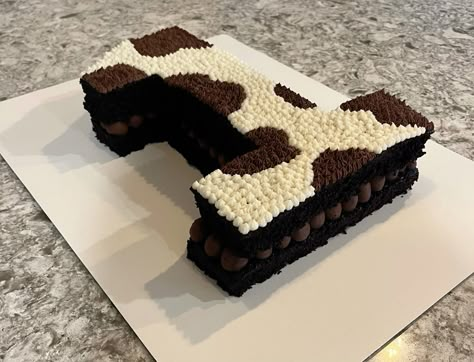 Babys first rodeo 2nd Rodeo Birthday Cake, First Rodeo Smash Cake Boy, My First Rodeo Birthday Boy Food Ideas, First Rodeo Dessert Table, First Rodeo Birthday Party Girl Cake, First Rodeo Cupcakes, Rodeo Theme Cake, My First Rodeo Birthday Boy Cake, Western Smash Cake