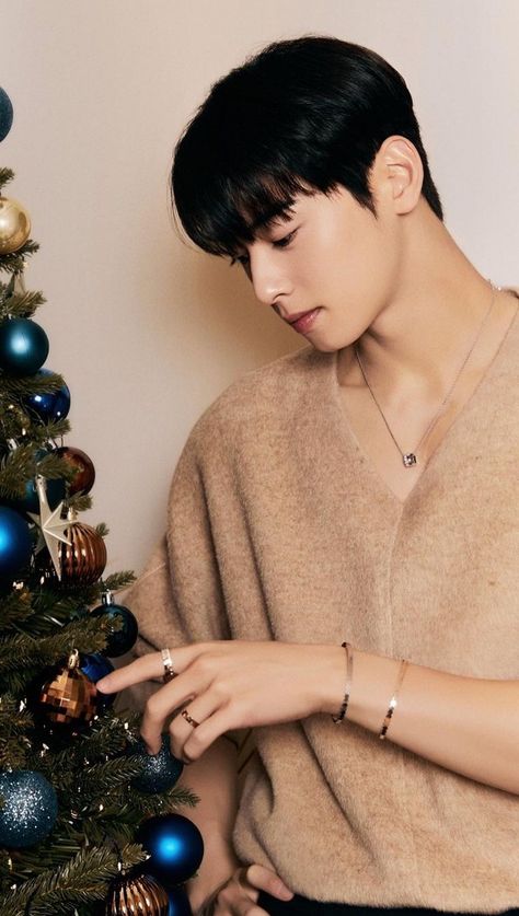 True Beauty Cha Eun Woo, Lee Soo, Cha Eun Woo, Merry Xmas, True Beauty, Kdrama, Pins, Beauty