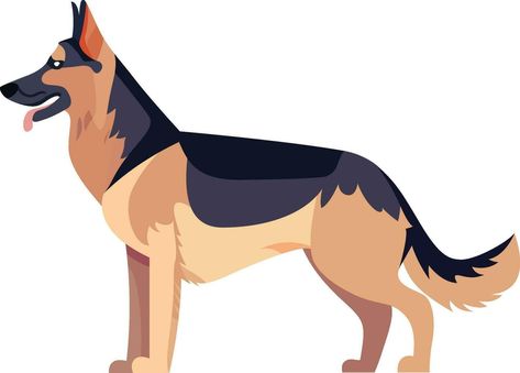 Belgium Shepherd, Dog Side View, Belgian Malinois Dog, Malinois Dog, Belgian Malinois, German Shepherd Dog, Flat Style, Styled Stock, German Shepherd Dogs