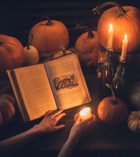 Autumn Witch, Fall Mood Board, Witch Girl, Autumn Magic, Dark Autumn, Book Aesthetics, Witch House, Season Of The Witch, Pumpkin Witch