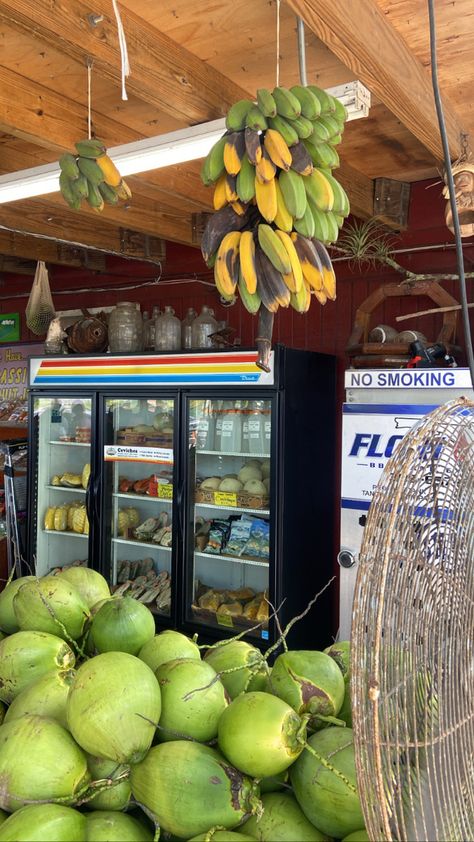 Coconuts at Robert is here Fresh market miami florida vacation- Andrea J #miami #vacation #florida #aesthetic #market #blackgirl #blackgirlaesthetic #traveling #travel #vacay Miami Culture, Florida Life Aesthetic, Miami Florida Aesthetic, Miami Florida Vacation, Childhood Aesthetic, Life Mission, Al Capone, Coconut Grove, Fresh Market