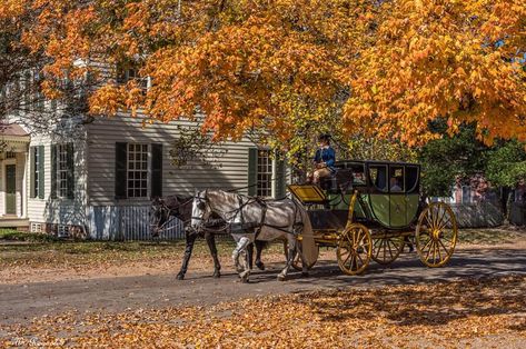 Yorktown Battlefield, Colonial Williamsburg Va, Colonial Williamsburg Virginia, Virginia Fall, Ghost Walk, Fall Vacations, Williamsburg Virginia, The Paranormal, Luxor Egypt