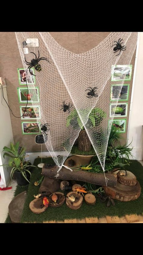 Insect Reggio Emilia, Insects Display Classroom, Insect Small World Play, Insect Provocations Preschool, Insects Activities For Kindergarten, Insects Provocation, Insect Provocations, Insects Activities For Kids, Insect Activities For Toddlers