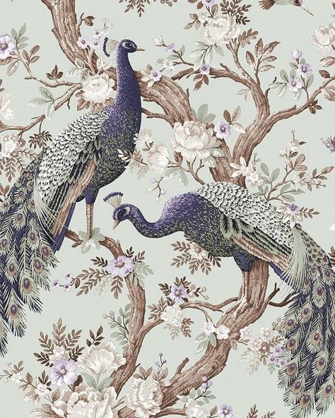 Flower Wallpaper Decor Ideas | Dark maximalism ideas | Moody interiors | Home decor Laura Ashley Belvedere, Egg Wallpaper, Wainscoting Ideas, Closet Wall, Dollhouse Diy, Peacock Bird, Design Textile, Master Bedrooms, Peacock Design