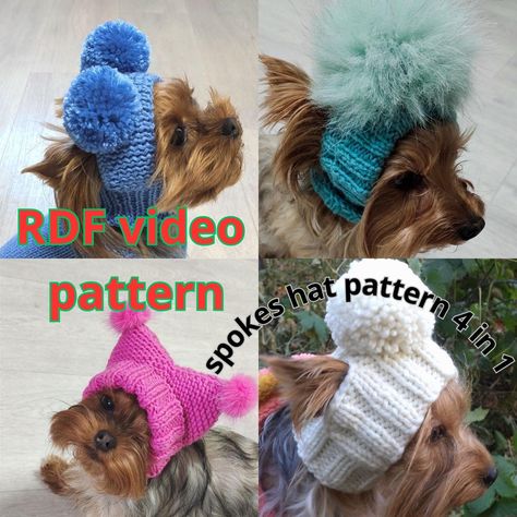 The dog hat pattern will teach you how to make delicious hats for your pets. Domestic Dog Model: Medium sized cat or dog, ear width 2.4 inches at the widest part of the ear (bottom of the ear), no more than 2.5 inches wide (to ensure proper fit, please measure your pet before ordering). The dog's head circumference is 9-10 inches. Suitable for 12-13 inch dog chest Three patterns of hats for dogs have a video with step-by-step knitting of a hat (except for the white hat, it has a pattern rdf) Yarn The yarn you use is 133 meters/100 grams, 50% wool, 50% acrylic or 145 yards per 100g. ✔Knit stitches with a needle. The Knitted Pattern Dog Hat is designed for you to know how to knit and know that there are knit and purl stitches. We also know how to knit on 5 needles. If you have difficulties w Dog Bonnet Crochet, Dog Knitted Hat Pattern, Crochet Cap For Dog, Dog Hat Knitted, Knitted Hat For Small Dog, Dog Hat Pattern, Hats For Dogs, Puppy Hats, Dog Model