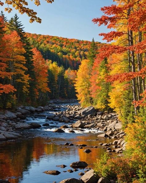 Ally | Cozy & Slow Living + Cottage/Farmhouse Style | 🍁🧡🍂❤️ Fall foliage 😍 👉Follow @katandblossom . . . . . #crunchyleaves #crunchyleavessweater #sweaterweather #fallvibes #fallfoliage… | Instagram Fall Scenic Pictures, Maine During Fall, East Coast In The Fall, Fall In Bar Harbor Maine, Maine Autumn Aesthetic, East Coast Autumn, Maine Fall Foliage Road Trips, Autumn In Maine, Maine Fall Aesthetic