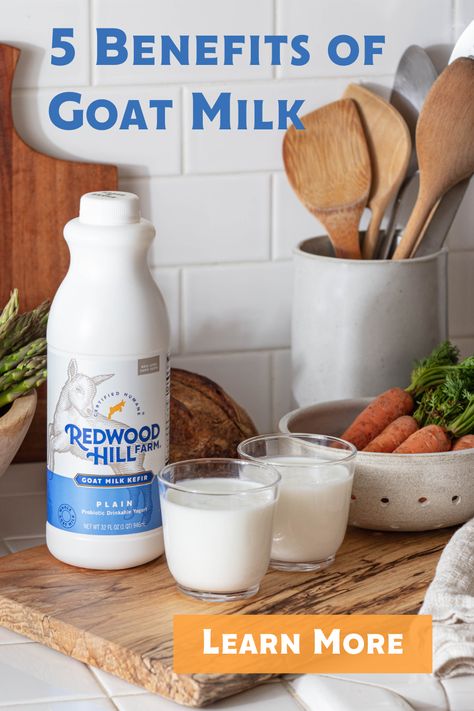 It’s not cow or oat, it’s goat! More digestible than cow milk yogurt and less processed than plant-based, our goat milk yogurts and kefirs are rich in essential nutrients like protein and calcium and packed with billions of probiotics. Goat Milk Kefir, Goat Milk Benefits, Whey Protein Benefits, Benefits Of Goat Milk, Cows Milk Allergy, Goat Milk Yogurt, Bin House, Kefir Benefits, Yogurt Benefits