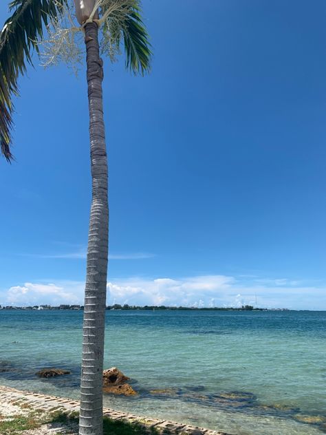 #florida #sarasota #summer #aesthetic #view #oceanlife Sarasota Florida Aesthetic, Florida Girl Aesthetic, Sarasota Beach, Florida Aesthetic, Aesthetic View, Florida Life, Florida Girl, Pretty Pics, Sarasota Florida