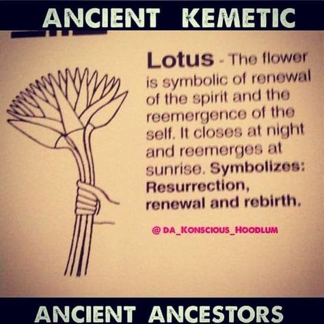 Kemetic Spirituality, True Roots, Spiritual Warrior, Black Consciousness, African Spirituality, Egyptian Symbols, Egyptian History, Ancient Knowledge, Knowledge And Wisdom