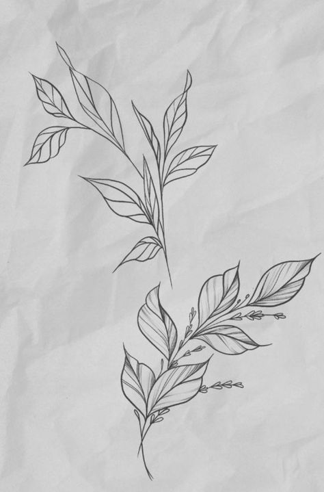 Leave Tattoo Design, Plant Vine Tattoo, Plants Tattoo Design, Linework Flower Tattoo, Leaves Tattoo Design, Leaf Tattoo Design, Plant Tattoo Ideas, Tattoo Leaf, Herren Hand Tattoos