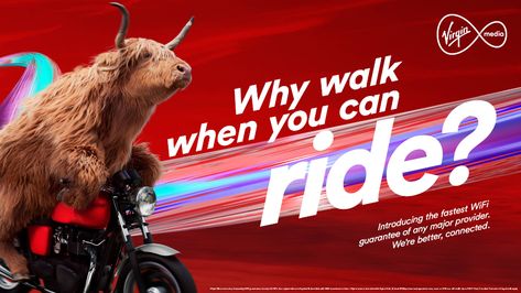 Virgin Media: Why walk when you can ride? • Ads of the World™ | Part of The Clio Network Scottish Highlands Landscape, Highlands Landscape, Social Network Icons, Text Artist, England Women, Web Software, Virgin Media, Network Icon, Ad Of The World