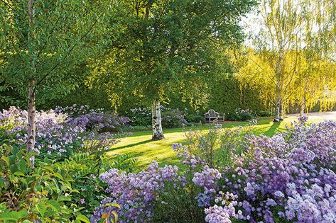 the Paul Bangay Gardens, Country Garden Decor, Forest Cottage, Coastal House, Country Gardens, House Backyard, Australian Garden, Garden Architecture, Garden Photography