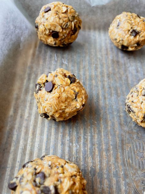 Alyssa’s Healthy Oatmeal Bites Recipe, Healthy Oatmeal Bites Recipe, Oats Snack, Farm Meals, Applesauce Oatmeal, No Bake Healthy, Field Meals, Oatmeal Energy Bites, Snack Mix Recipe