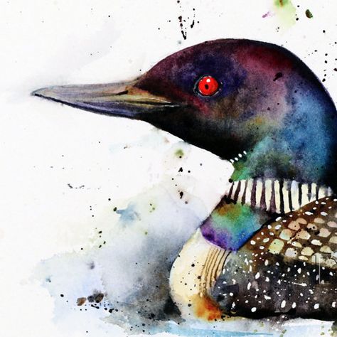 Loon Bird Tattoo, Watercolor Loon Bird, Loon Watercolor, Loon Painting, Common Loon Drawing, Loon Illustration, Loon Tattoo, Dean Crouser, Tattoo Watercolor