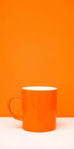 ORANGE!!!!!!!!!!!!!!!!!!!!!!!!!!!!!!!!!!!!!!!!!!!!!!!!!!!!!!!!!!!! Orange Mugs, Orange Coffee, Jaune Orange, Orange You Glad, Colorful Roses, Orange Aesthetic, Orange Is The New, Pretty Colors, Orange Crush