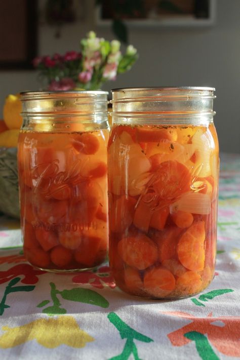 Pressure Canning Carrots & Onions, with Herbs | Raw Pack Method Canning Carrots, Water Bath Canning Recipes, Canned Carrots, Cowboy Candy, Growing Carrots, Garden Companion Planting, Quart Size Mason Jars, Pressure Canner, Growing Potatoes