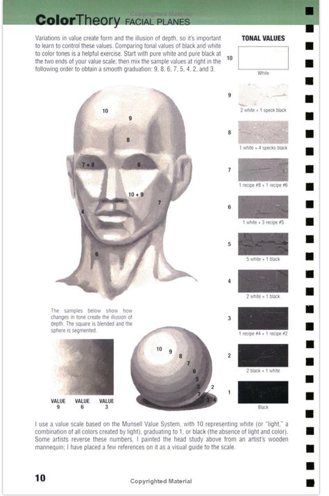 Face Color Zones, Portrait Palette, Portrait Painting Tutorial, Color Theory Art, Portrait Artists, Human Anatomy Drawing, Art Basics, Portraiture Drawing, Beautiful Art Paintings