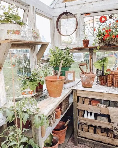 Potting Shed Exterior Ideas, Cute Greenhouse Interior, Dream Greenhouse Interior, She Shed Greenhouse Ideas, Greenhouse Set Up Inside, Greenhouse Interior Ideas, Potting Shed Ideas, Potting Shed Interior Ideas, Flower Garden Aesthetic